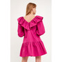 Women's Long Sleeve V Ruffled Mini Dress