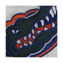 Women's Stadium Athletic White Florida Gators Arched Name Full-Zip Hoodie