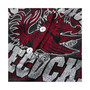 Women's South Carolina Gamecocks Black Relaxed Henley Tank Top