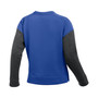 Women's Royal, Charcoal Kentucky Wildcats Campus Dolman Pullover Sweatshirt