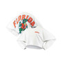 Women's White Florida Gators Raw Hem Cropped Long Sleeve T-shirt