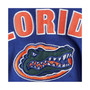 Women's Royal Florida Gators Arch and Logo 1 Pullover Hoodie