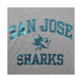 Women's Branded Heathered Gray San Jose Sharks Favorite Tri-Blend Raglan Long Sleeve Scoop Neck T-shirt