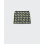 Women's Printed Mini Skirt