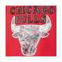 Men's Chicago Bulls Red Hardwood Classics 75th Anniversary Authentic Warmup Full-Snap Jacket