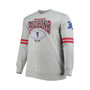 Men's Heather Gray Atlanta Falcons Big and Tall Allover Print Pullover Sweatshirt