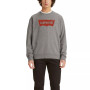 Men's Graphic Crewneck Regular Fit Long Sleeve Sweatshirt