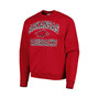 Men's Cardinal Arkansas Razorbacks High Motor Pullover Sweatshirt