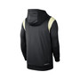 Men's Black Oregon Ducks 2022 Game Day Sideline Performance Pullover Hoodie