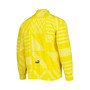 Men's Yellow Borussia Dortmund Pre-Match Raglan Full-Zip Training Jacket