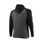 Men's Branded Black, Heathered Charcoal Carolina Panthers Big and Tall Lightweight Raglan Pullover Hoodie