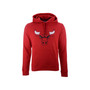 Men's Chicago Bulls Halpert Primary Logo Hoodie