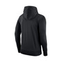 Men's Black Oregon Ducks Alternate Performance Pullover Hoodie