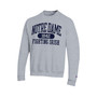 Men's Heather Gray Notre Dame Fighting Irish Arch Pill Sweatshirt