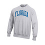 Men's Heathered Gray Florida Gators Big and Tall Reverse Weave Fleece Crewneck Pullover Sweatshirt