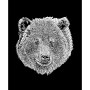 Men's Word Art Bear Face Crewneck Sweatshirt