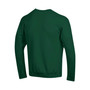 Men's Green Florida A&M Rattlers 2-Hit Powerblend Pullover Sweatshirt
