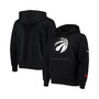Men's Black Toronto Raptors Courtside Chrome Pullover Hoodie