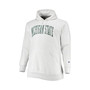 Men's Heathered Gray Michigan State Spartans Big and Tall Reverse Weave Fleece Pullover Hoodie Sweatshirt