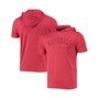 Men's Heather Red Washington Nationals Brushed Short Sleeve Pullover Hoodie