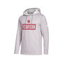 Men's Heathered Gray Bayern Munich Box Pullover Hoodie