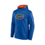 Men's Branded Royal Florida Gators On The Ball Pullover Hoodie