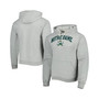 Men's Heather Gray Notre Dame Fighting Irish Arch Essential Fleece Pullover Hoodie
