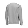 Men's Heathered Gray Florida A&M Rattlers Classic Arch Pullover Sweatshirt