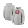 Men's Heather Gray Chicago Bulls Hardwood Classics Big and Tall Throwback Pullover Hoodie