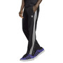 Adicolor Classics Firebird Three-Stripe Track Pants