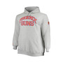 Men's Steve Nash Heathered Gray Phoenix Suns Big and Tall Name and Number Pullover Hoodie