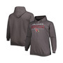Men's Charcoal Arizona Cardinals Big and Tall Logo Pullover Hoodie