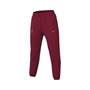 Men's Crimson Alabama Crimson Tide Team Logo Spotlight Performance Pants