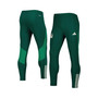 Men's Green Mexico National Team PAEROREADY re-Match Pants
