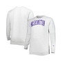 Men's Heather Gray Washington Huskies Big and Tall Sweatshirt