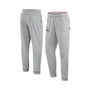 Men's Gray Cleveland Browns Sideline Logo Performance Pants