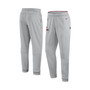 Men's Gray Washington Commanders Sideline Logo Performance Pants
