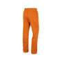 Men's Texas Orange Texas Longhorns Wordmark Pants