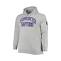 Men's Vince Carter Heathered Gray Toronto Raptors Big and Tall Name and Number Pullover Hoodie