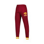 Men's Burgundy Washington Commanders Blitz Fleece Jogger Pants