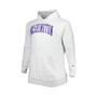 Men's Heather Gray Washington Huskies Big and Tall Pullover Hoodie