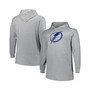 Men's Heather Gray Tampa Bay Lightning Big and Tall Pullover Hoodie