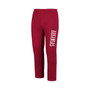 Men's Cardinal Arkansas Razorbacks Fleece Pants