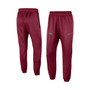 Men's Cardinal Arkansas Razorbacks Team Logo Spotlight Performance Pants