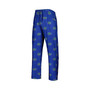 Men's Royal Florida Gators Logo Flagship Allover Print Pants