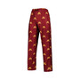 Men's Maroon Minnesota Golden Gophers Logo Flagship Allover Print Pants