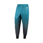 Men's Midnight Green Philadelphia Eagles Gradient Jogger Pants