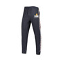 Men's Charcoal Phoenix Suns Team Stripe Jogger Pants