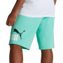 Men's Big Fleece Logo Shorts