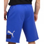 Men's Big Fleece Logo Shorts
